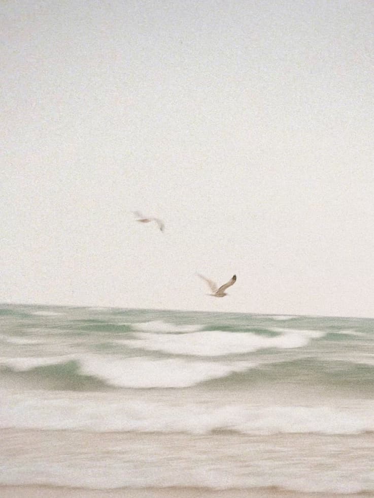 Mar con gaviotas representando tranquilidad
